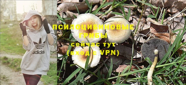 бутик Абаза