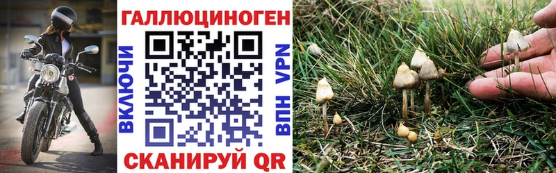 Псилоцибиновые грибы мицелий Дрезна